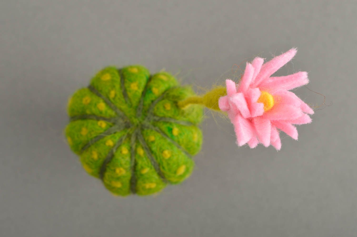Искусственный цветок ручной работы цветок из шерсти  валяной цветок кактус фото 4