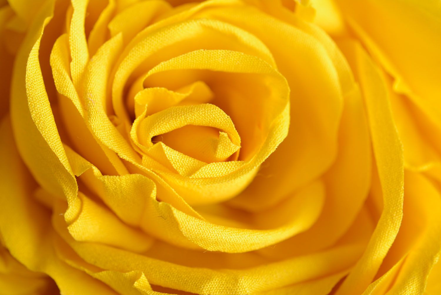 Blumen Brosche aus Stoff gelbe Rose foto 3