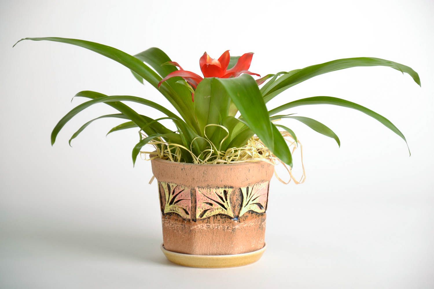 Ceramic flowerpot Octagon photo 1