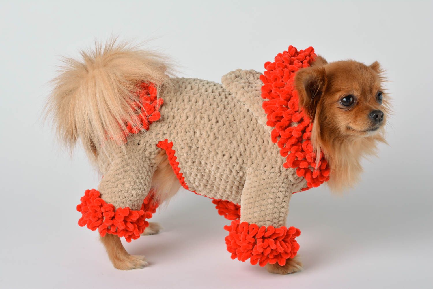 Handgemacht Kleidung für Hund Kostüm für Hund Designer Accessoire beige foto 2