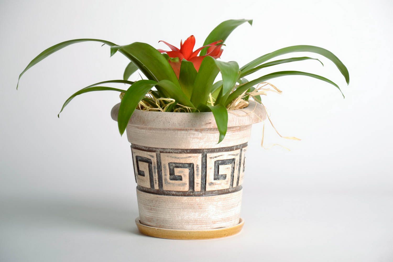 Maceta cerámica para flores foto 2
