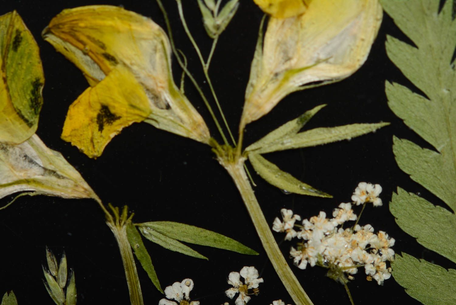 Modische originelle runde Brosche mit Blumen Epoxidharz künstlerische Handarbeit foto 2