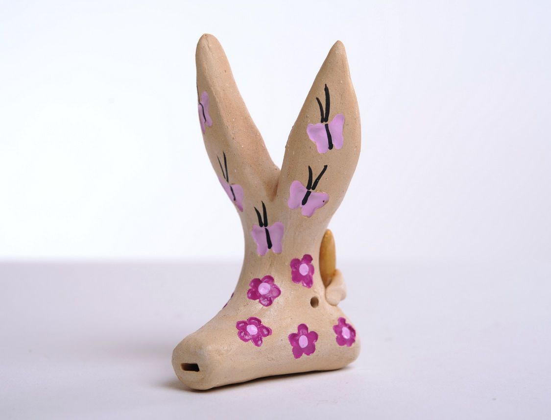 Pennywhistle Rabbit with carrot photo 5