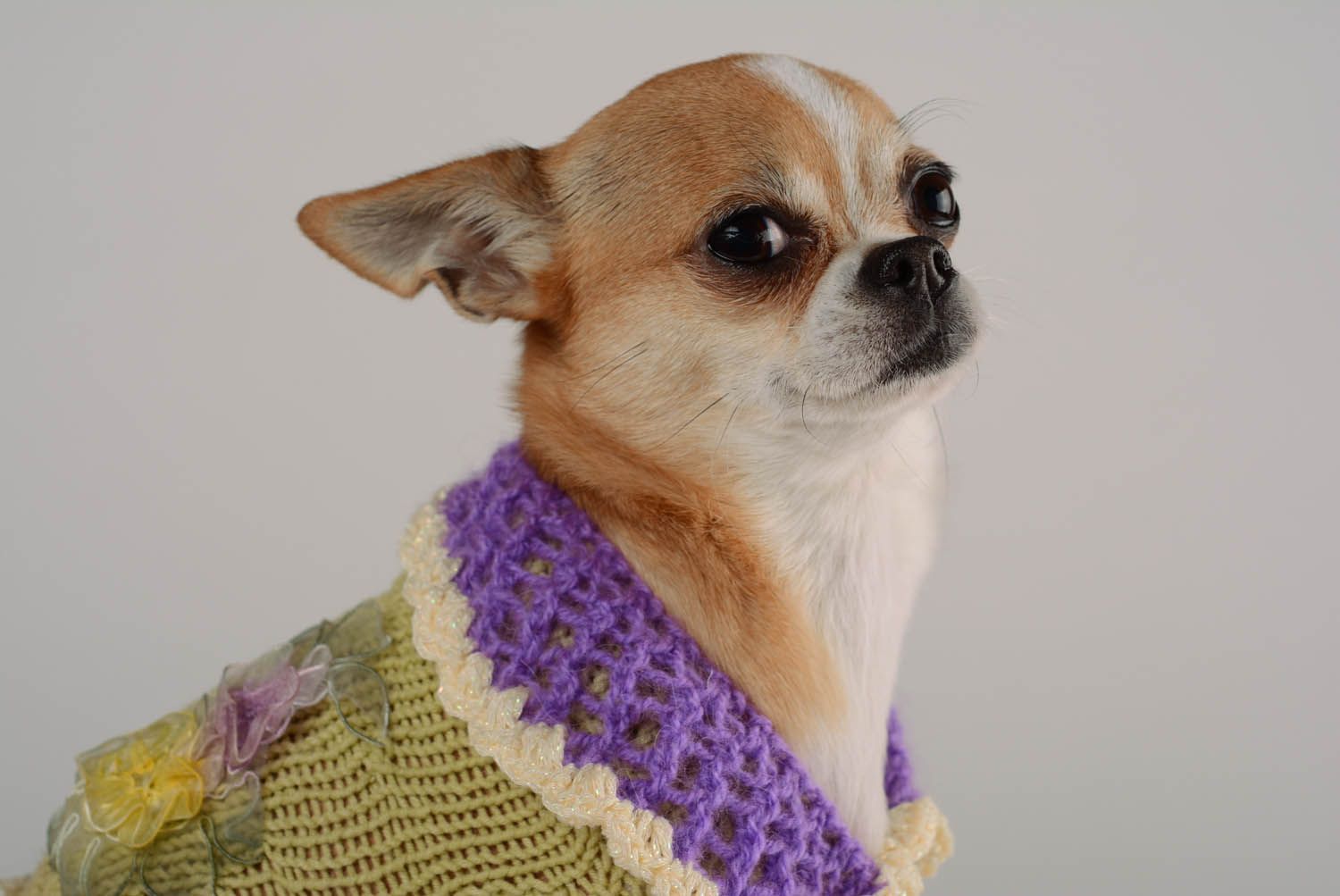 Vestido para cães Violeta roupas para animais feitas à mão  foto 2