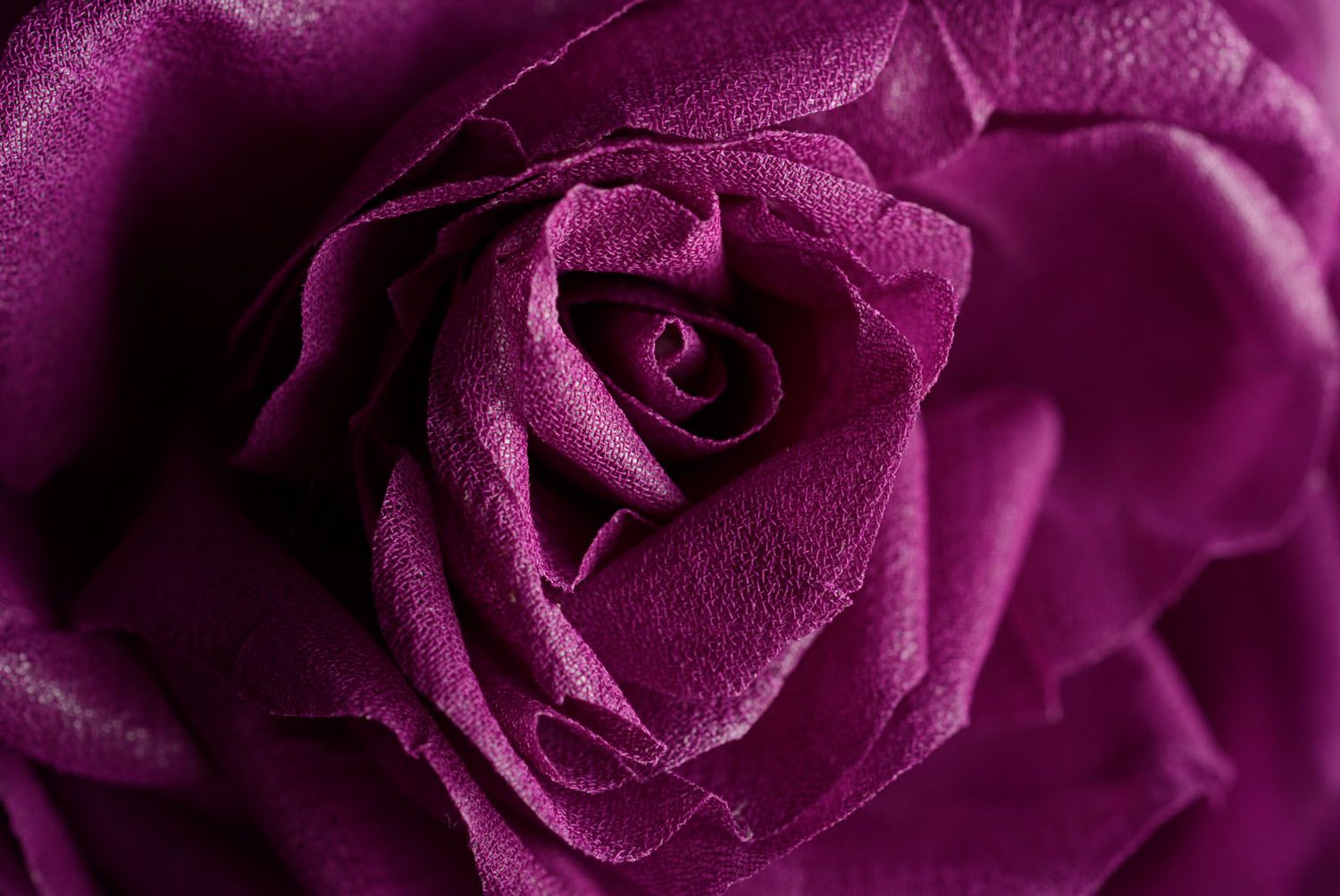 Fabric brooch-hair clip Purple Rose photo 3