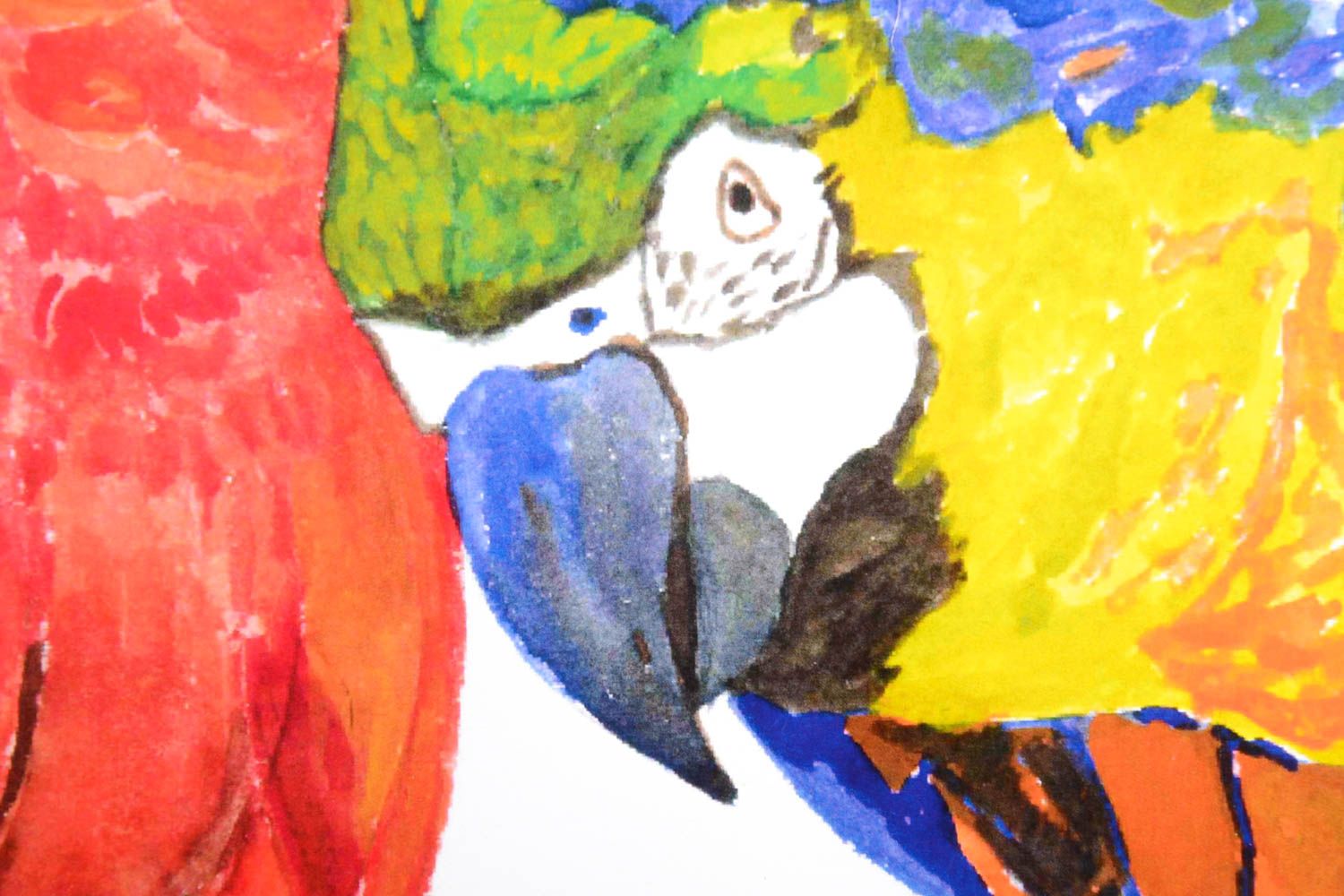 Tableau oiseaux fait main Décoration murale perroquets Déco salon impression photo 3