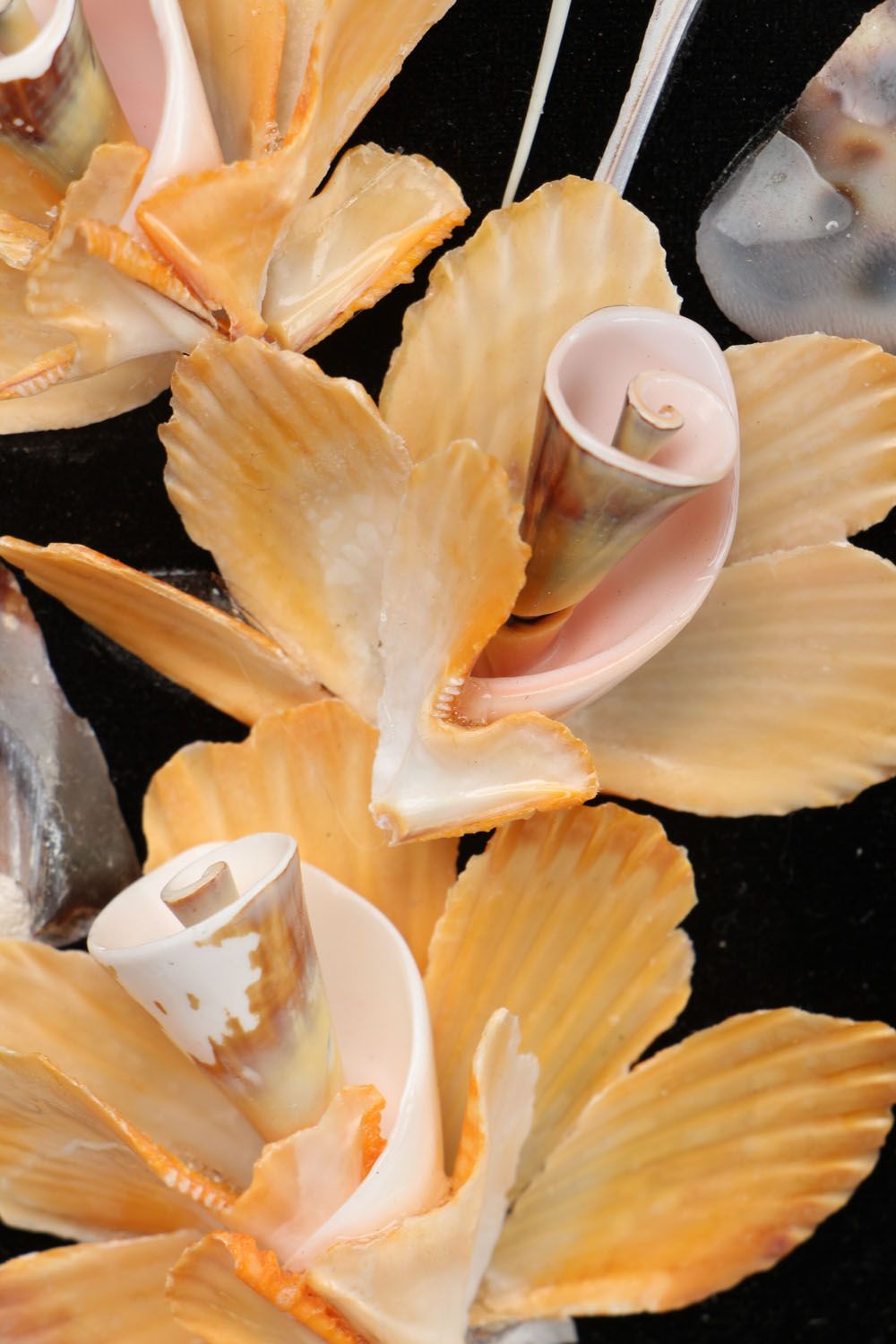 Unusual panel with shells and fish bones photo 3