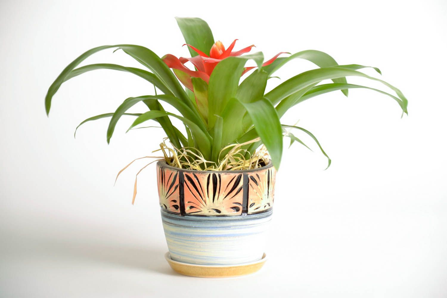 Flowerpot made of clay photo 1