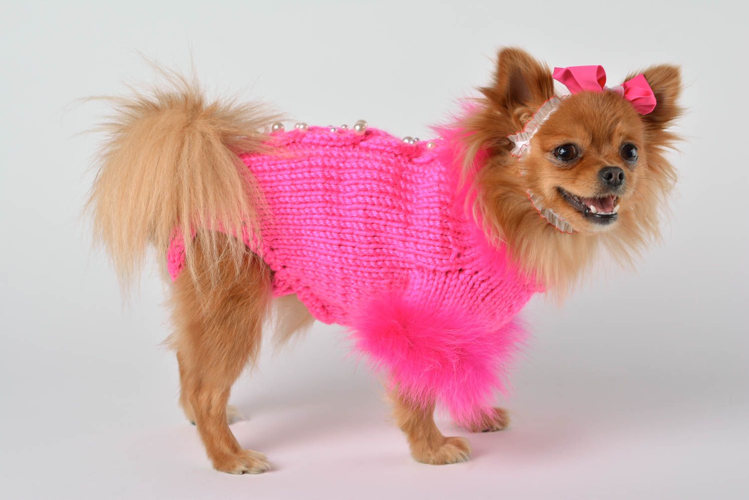 Handmade unusual bright clothes for pets designer accessory knitted suit for dog photo 2