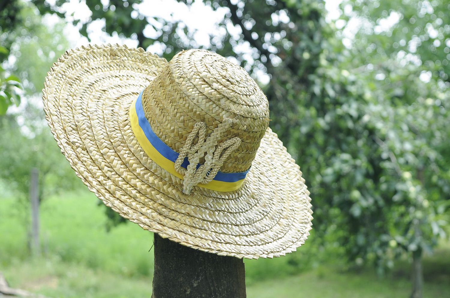 Der mit Symbolik der Ukraine dekorierte Hut foto 5