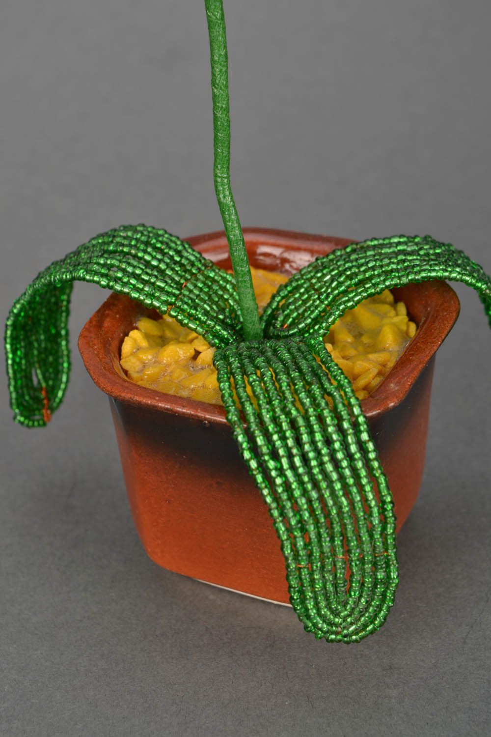 Beaded yellow orchid  photo 5
