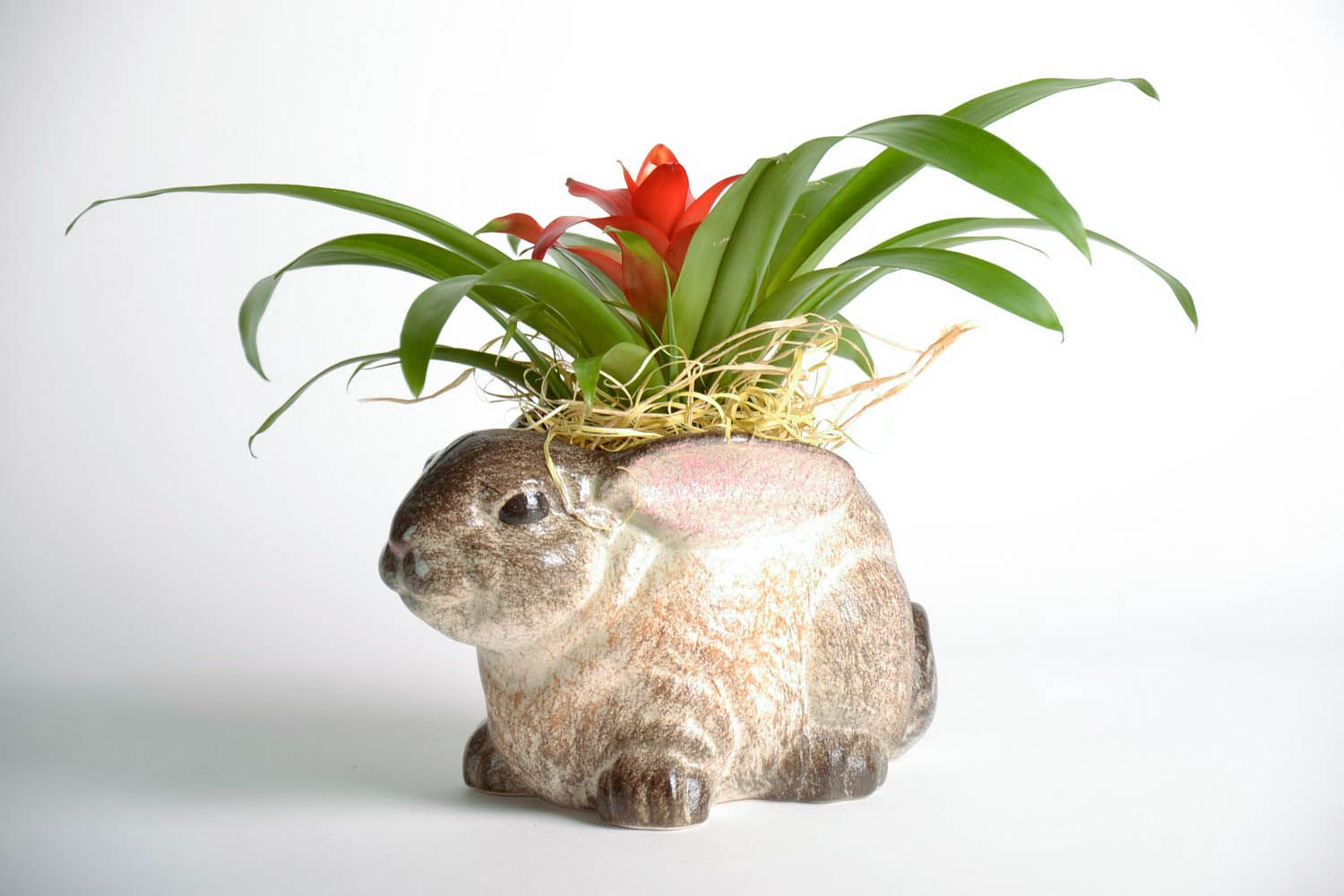 Pot de fleurs en céramique fait main en forme de lapin photo 1