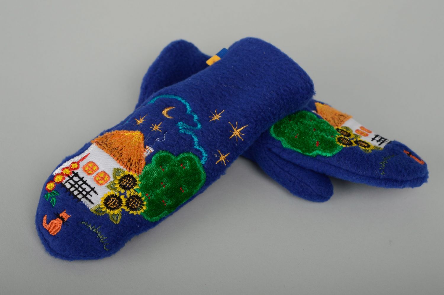 Blue embroidered fleece mittens photo 1