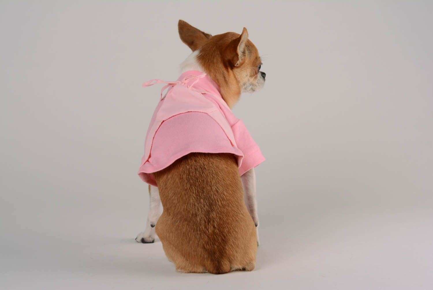 Blusa para cães com mochila feita à mão de algodão acessórios para cães foto 5