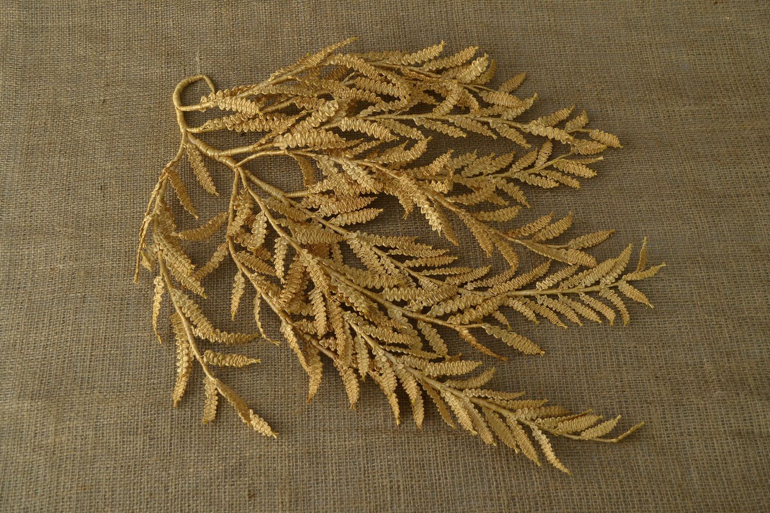 Amulet of straw branch of fern photo 1