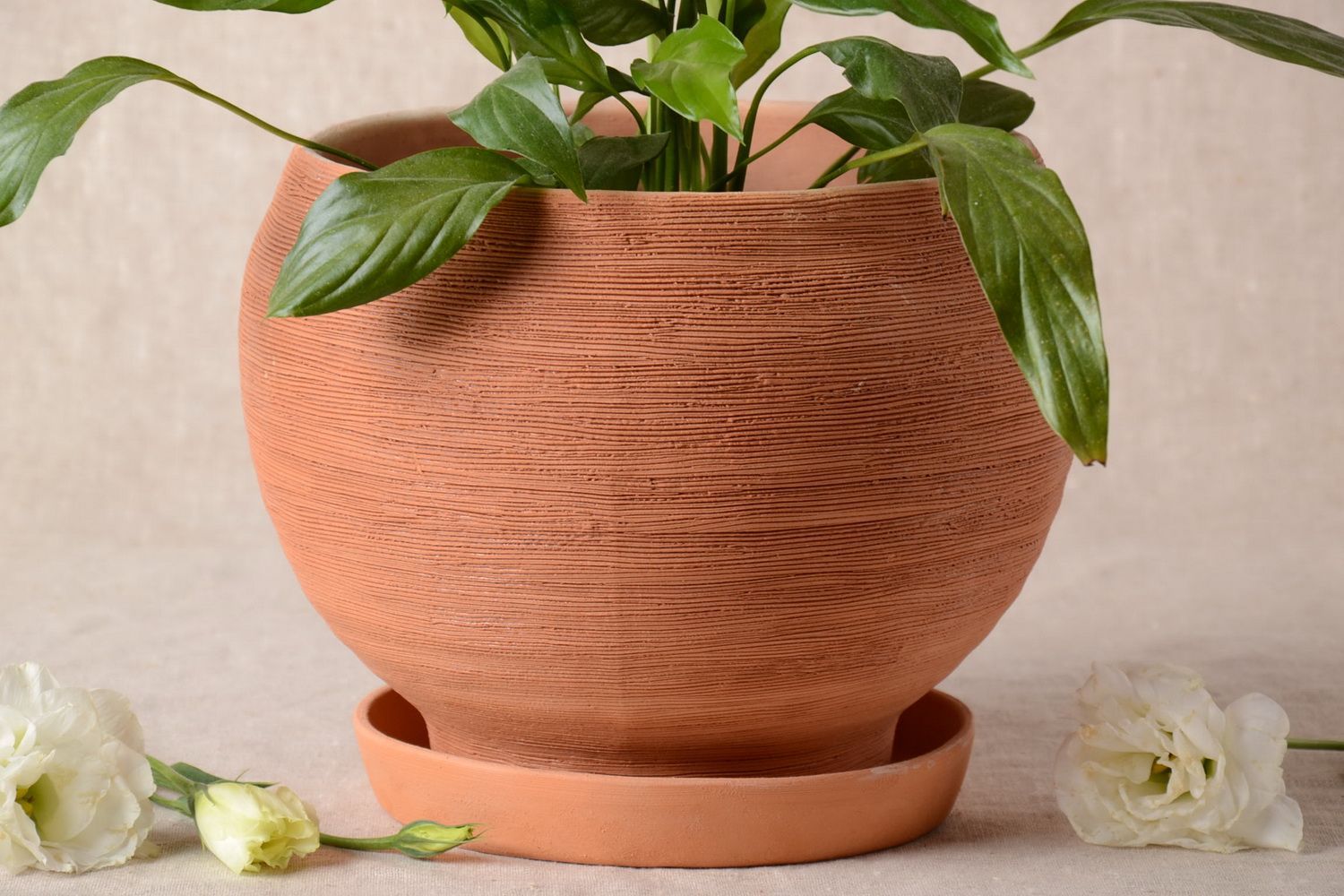 Grand pot de fleurs en céramique 3 litres fait main avec trou de drainage photo 1