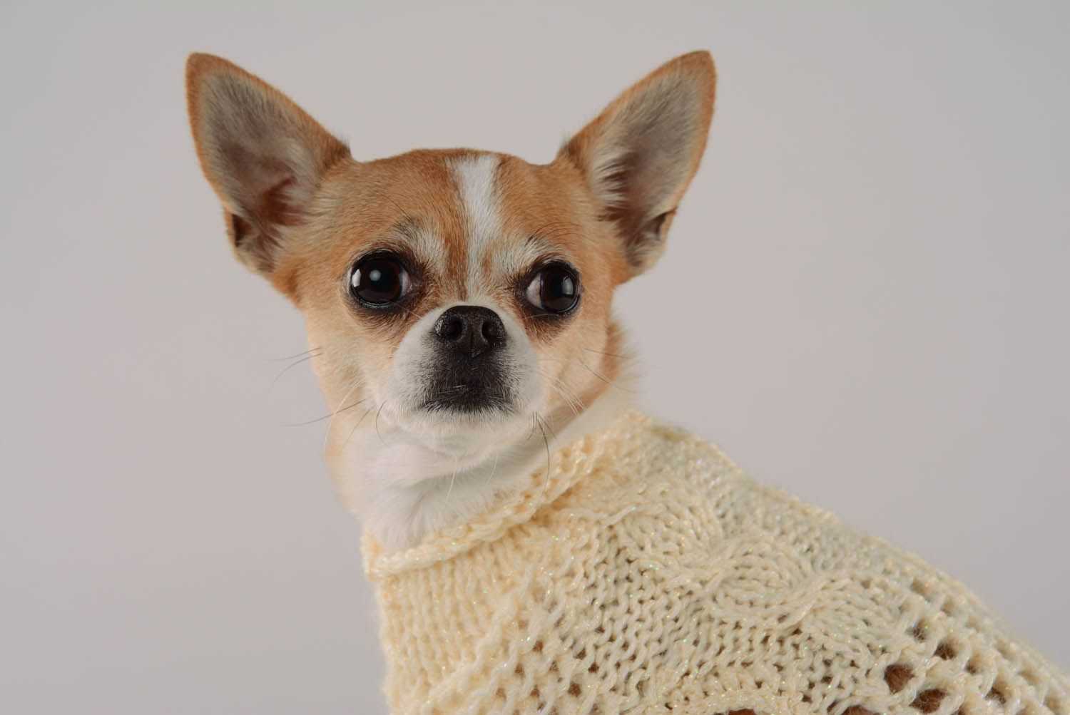 Camisola para cão feita à mão de tecido Sorvete de Limão foto 2