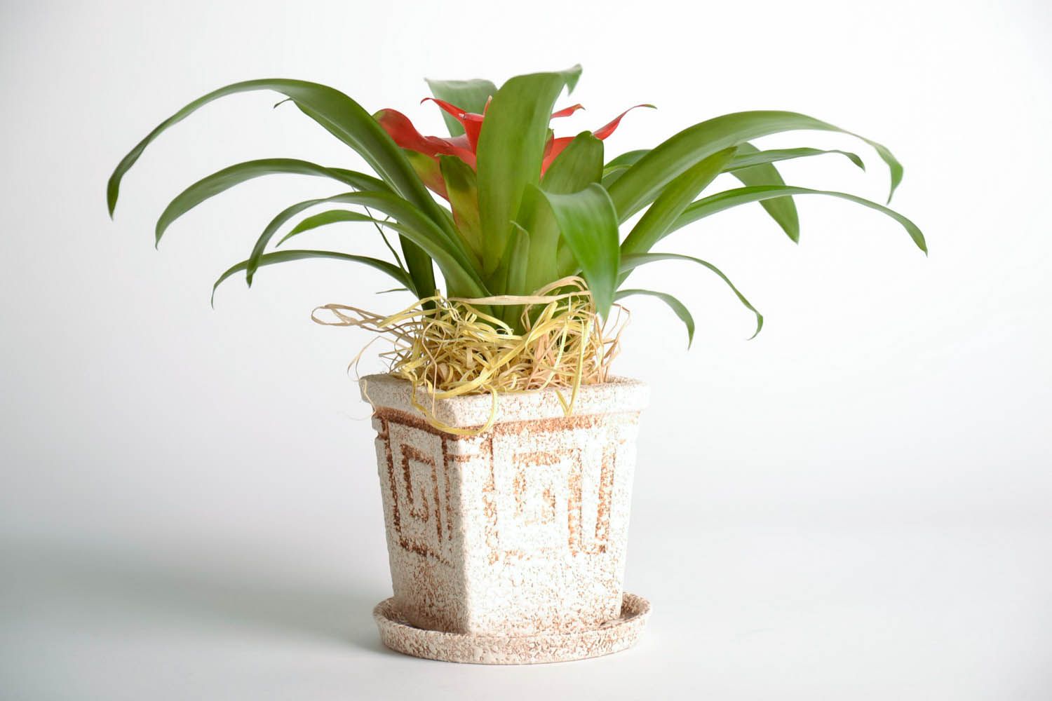 Vaso in ceramica per piante fatto a mano vaso per fiori con sottovaso  foto 1