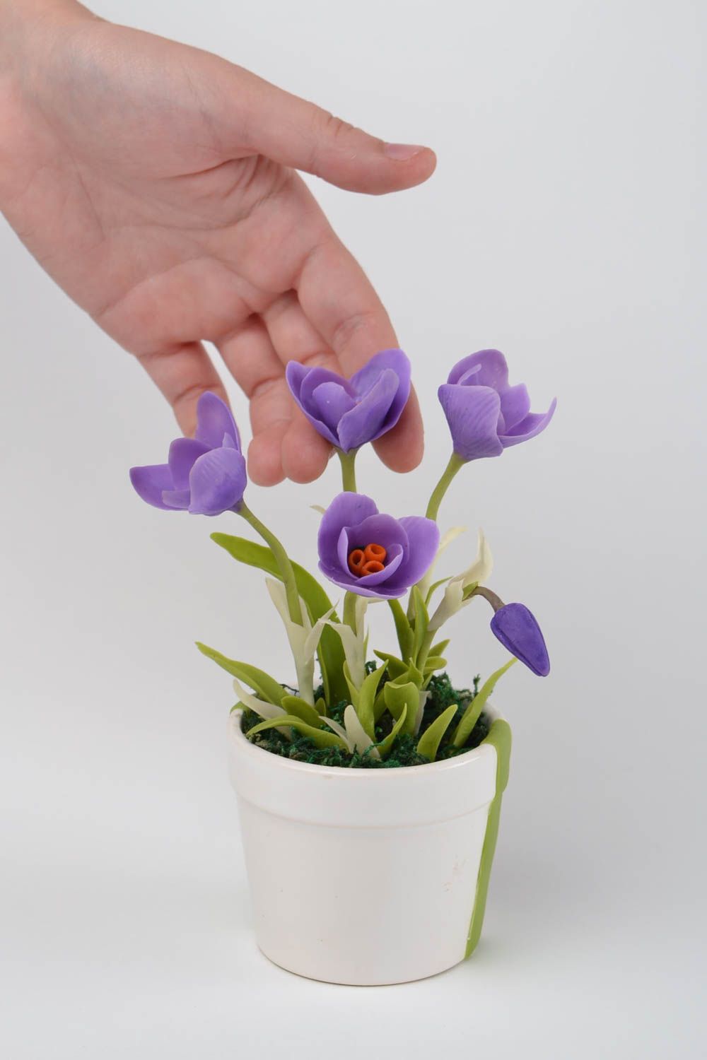 Composition florale fait main Fleurs en pot crocus violet Décoration maison photo 2