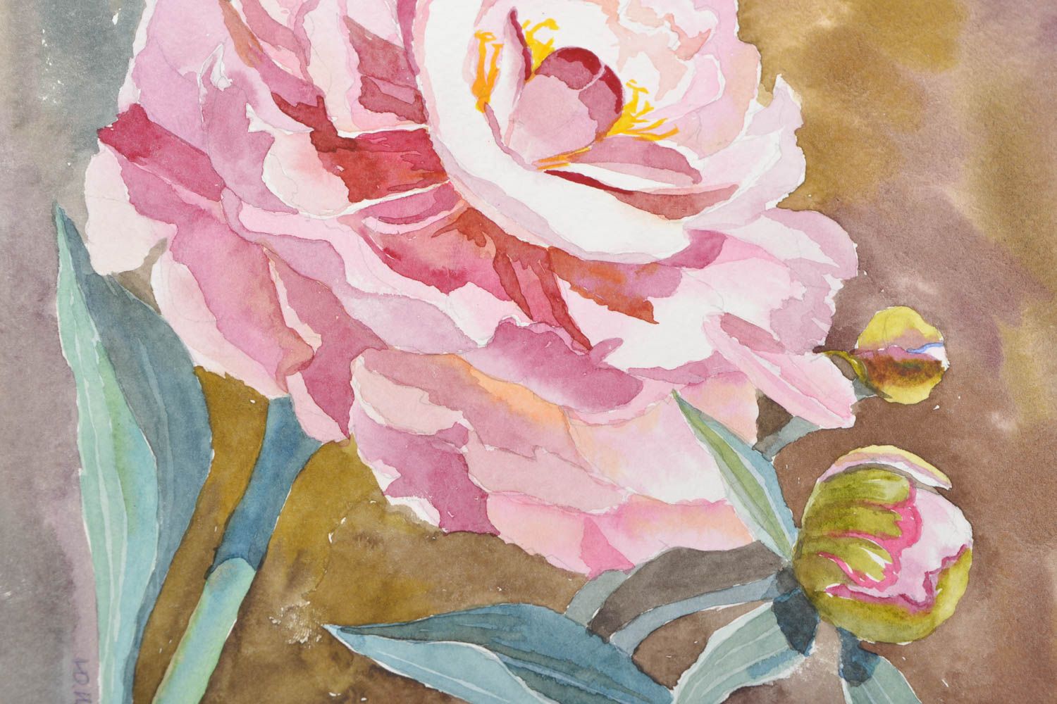 Watercolor painting Blooming Peony photo 3