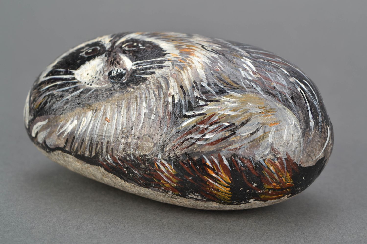 Painted sea stone for home decor Raccoon photo 4