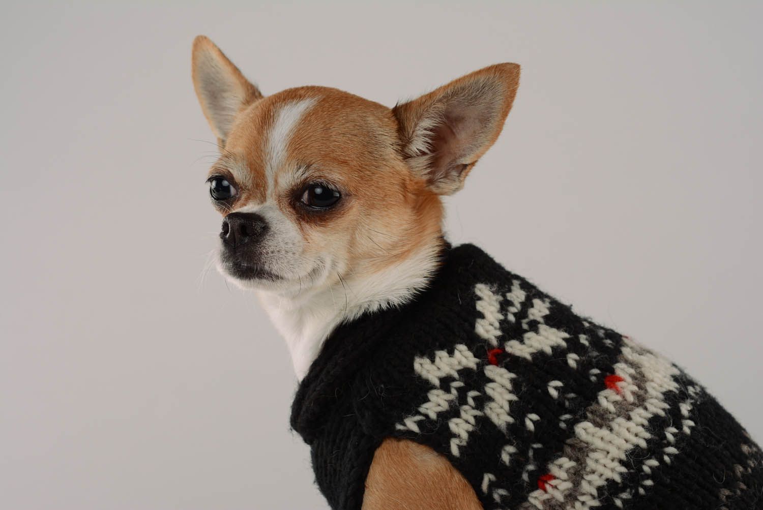 Jersey sin mangas para perro con ornamento foto 2
