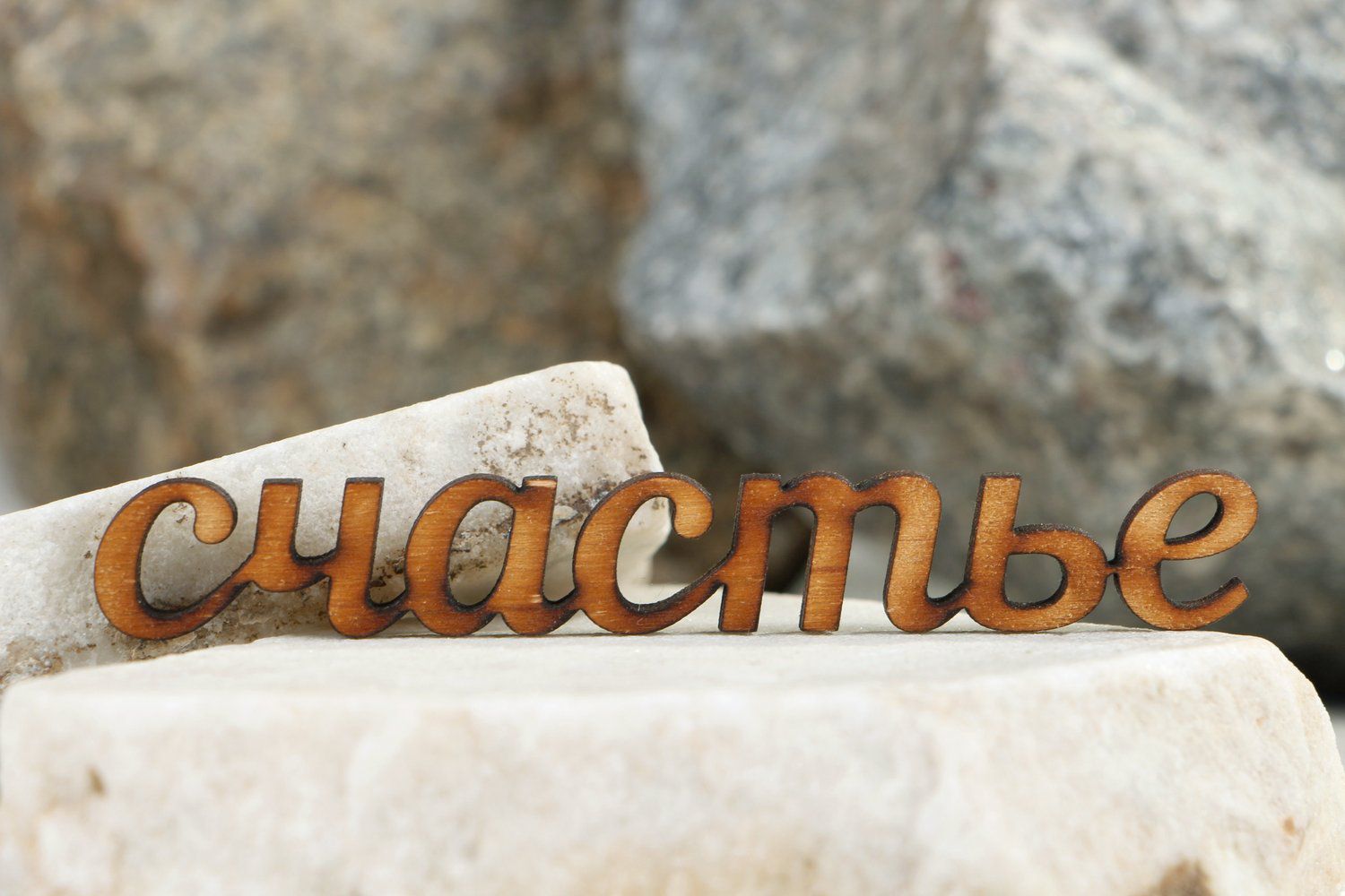 Chipboard scrapbooking en bois inscription Stchastyie en russe Bonheur photo 4