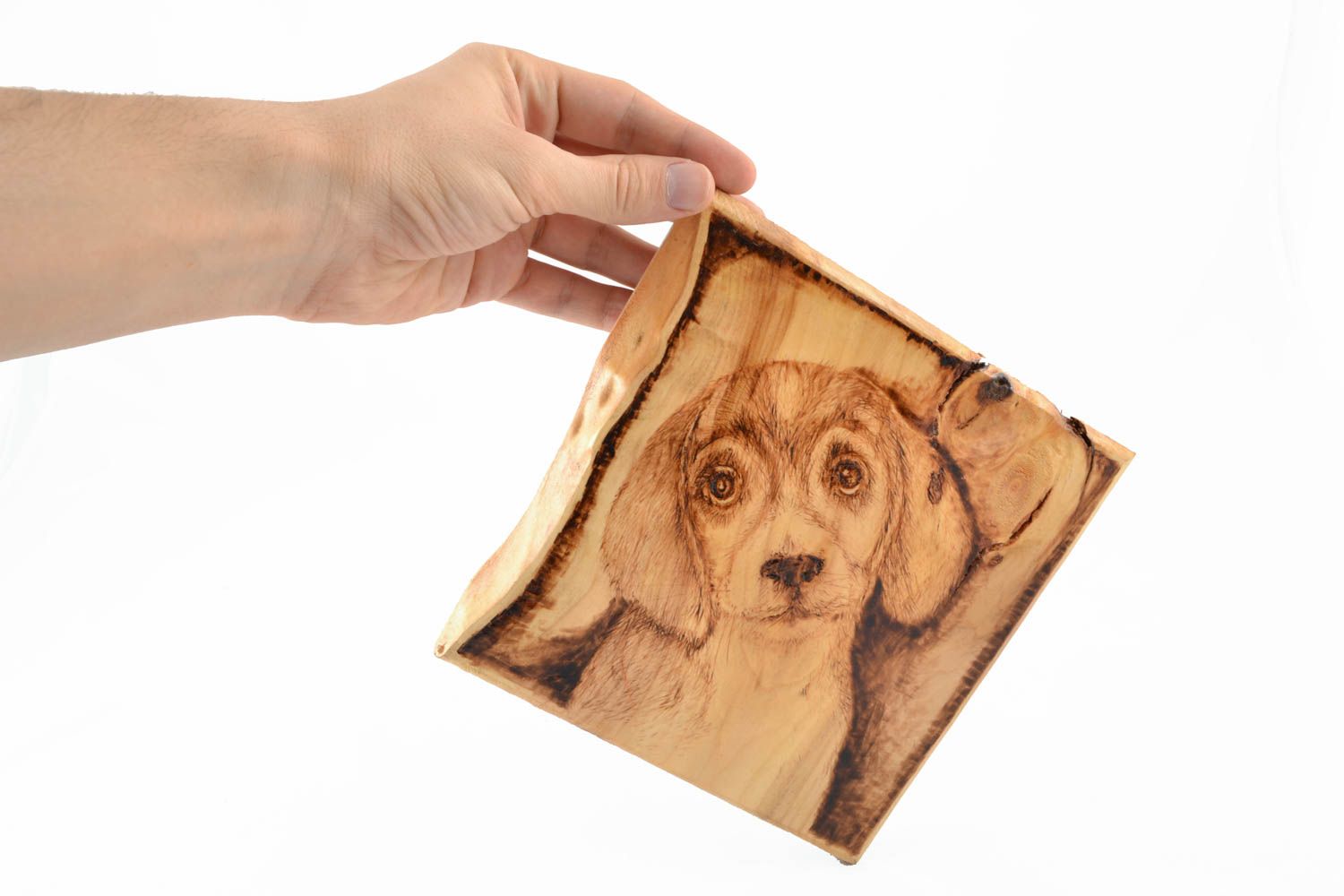 Handmade picture with dog photo 4