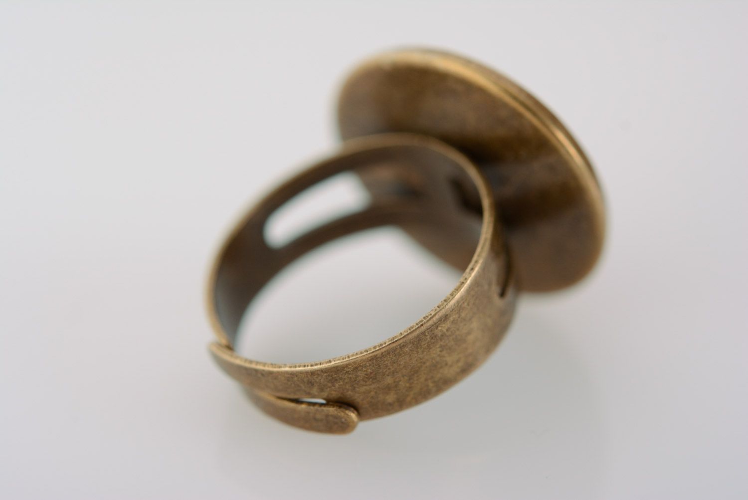 Handgemachter Vintage Ring mit Pflanze im Epoxidharz und Metall foto 3