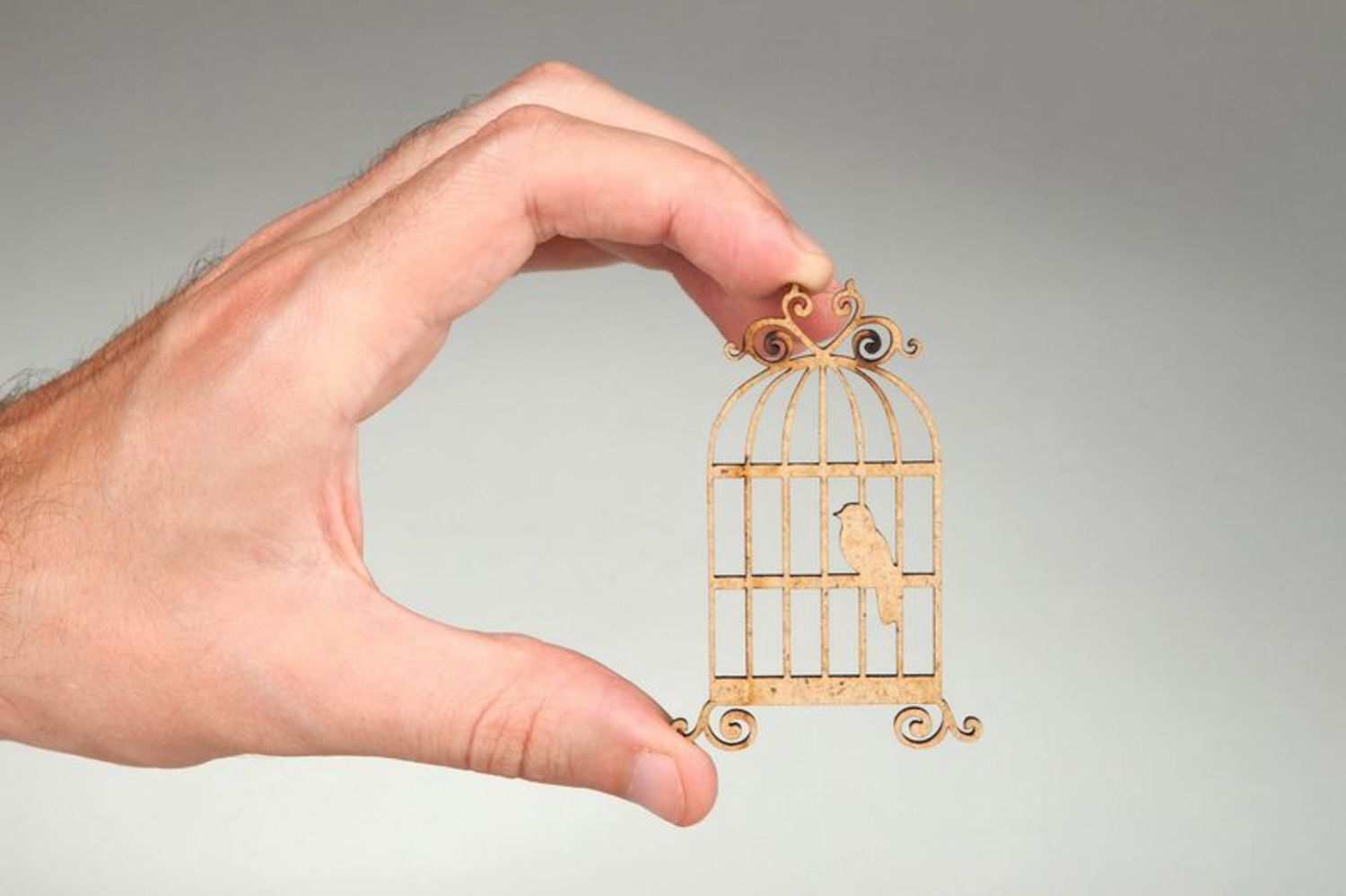 Chipboard Birdie in the cage photo 3