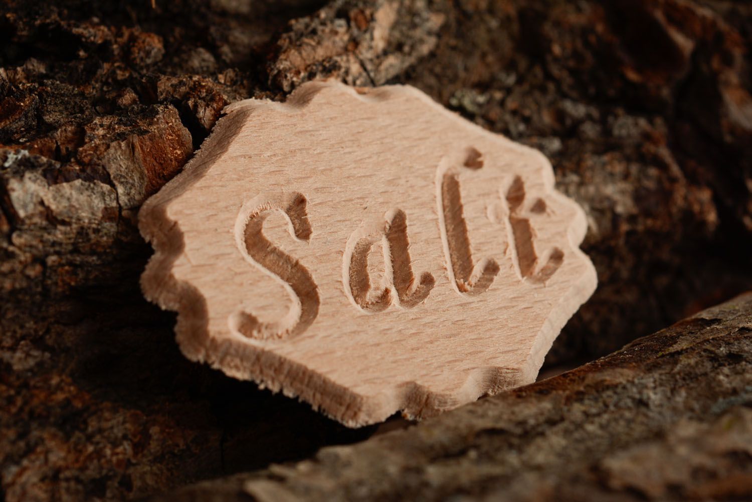 Holz Aufschrift Salz foto 1