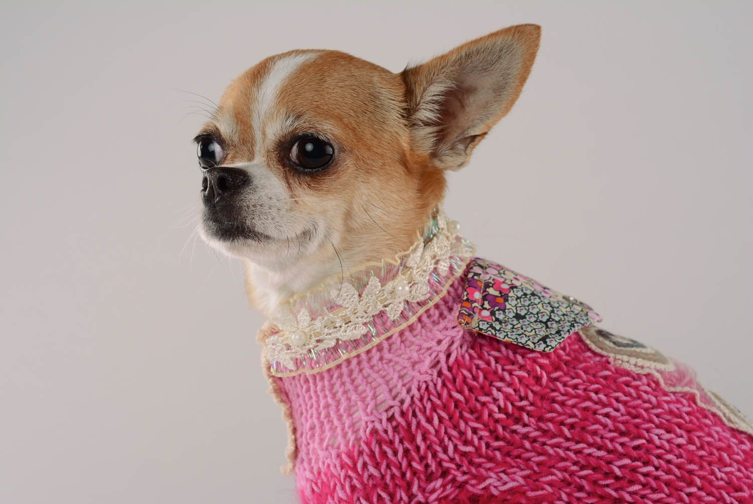 Vestido para cães com rendas roupas para animais feitas à mão  foto 2