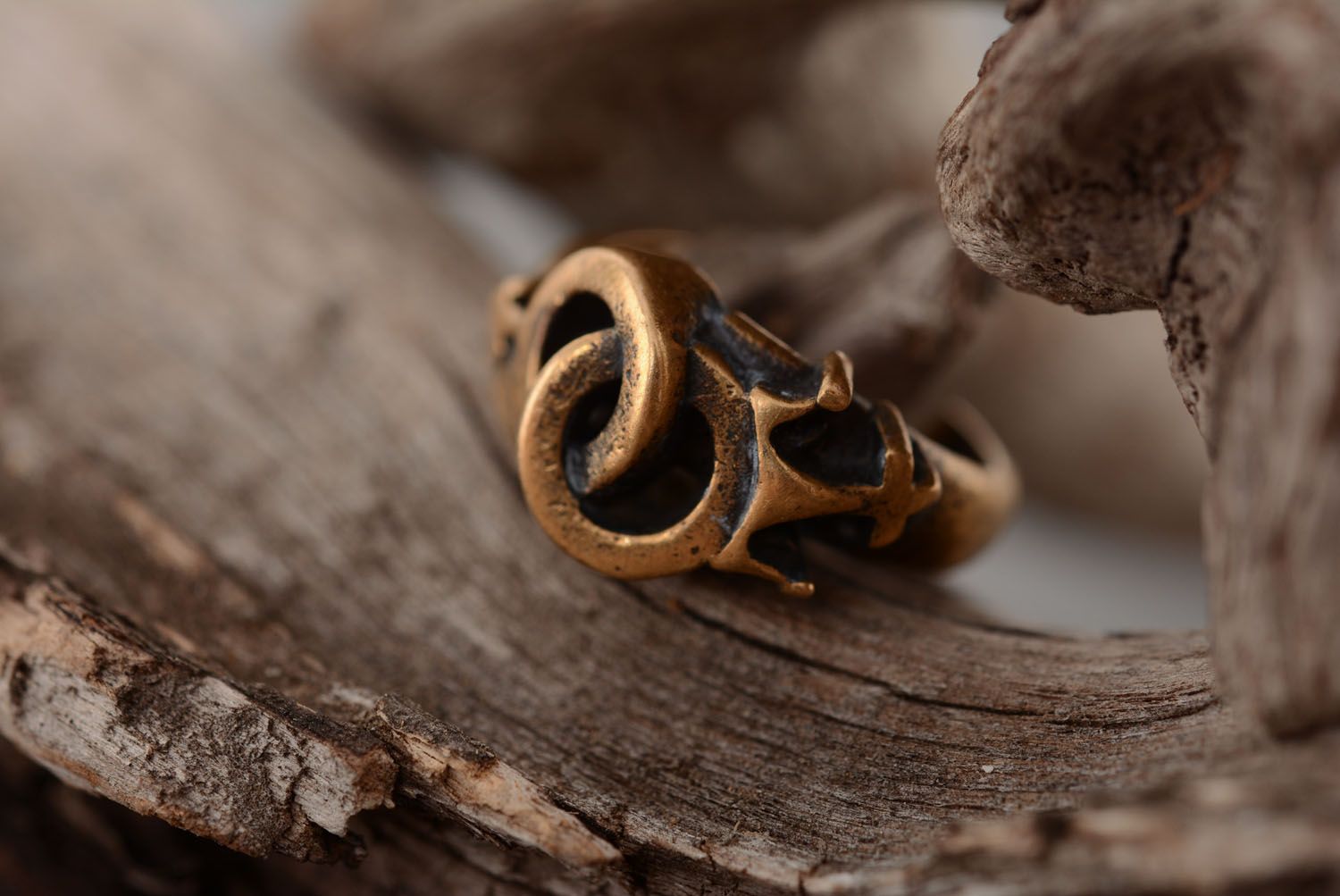 Bronze ring Love and Passion photo 2