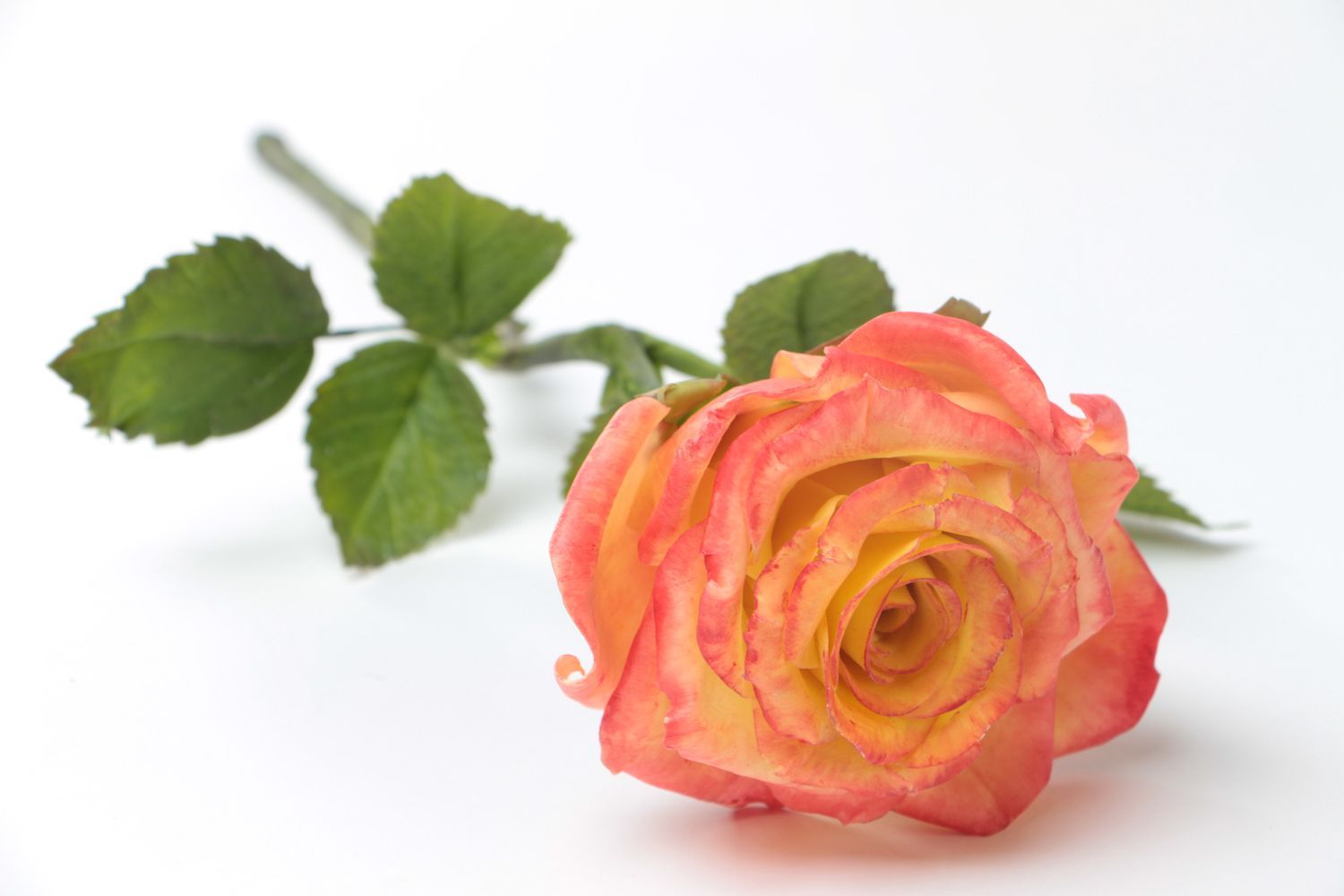 Цветок из полимерной глины с росписью масляными красками ручной работы Роза фото 2