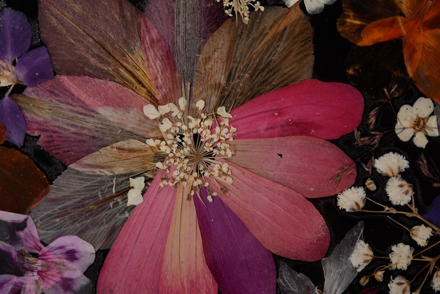 Quadro de flores secas artesanal foto 3