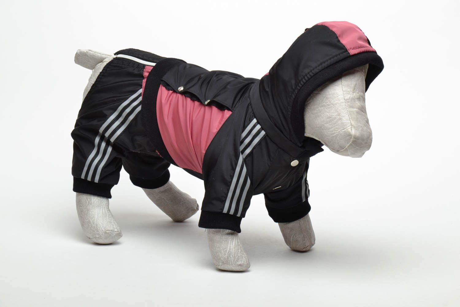 Costume pour chien style sportif fait main photo 1