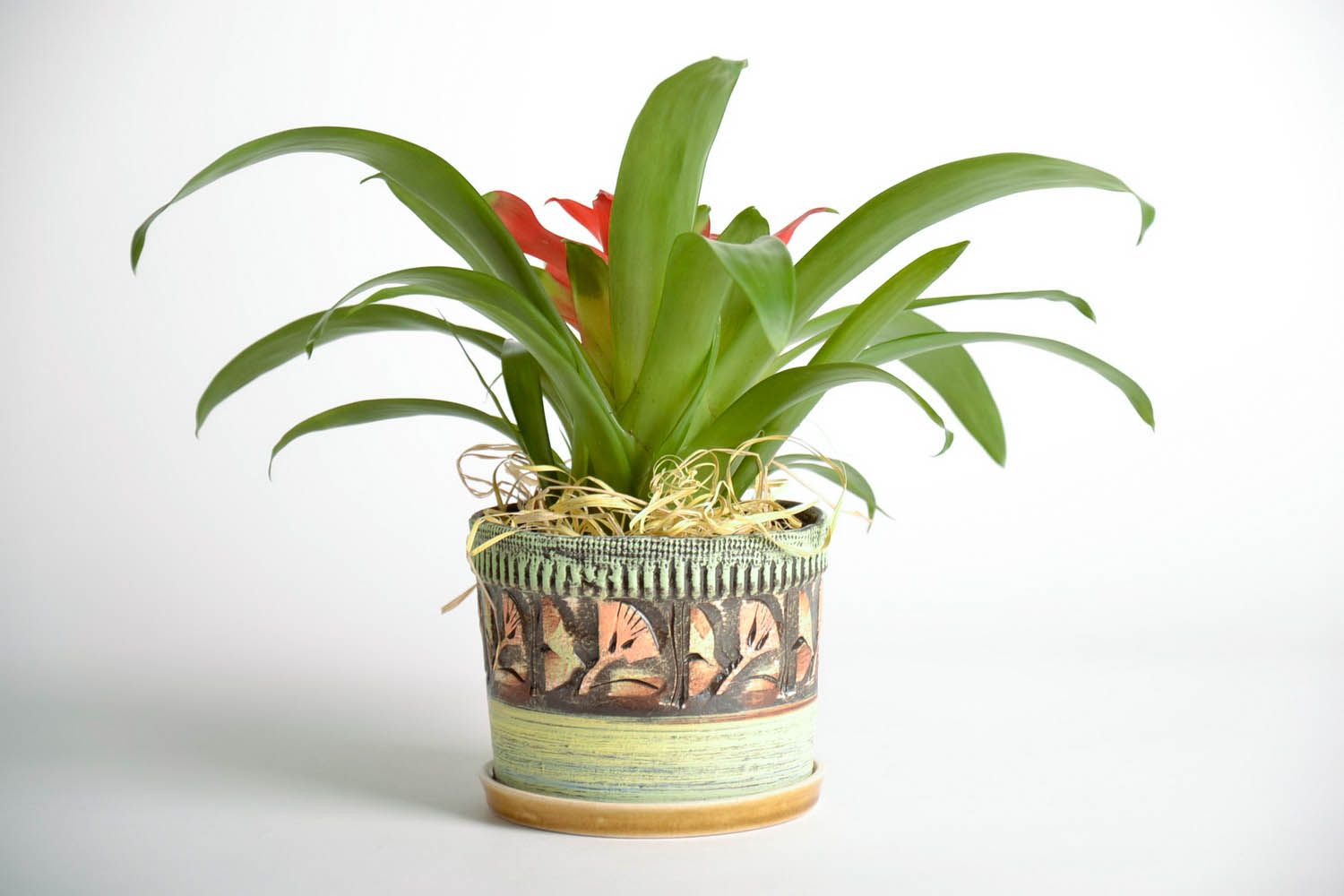 Pot à fleurs  modelé de l'argile à la main photo 1