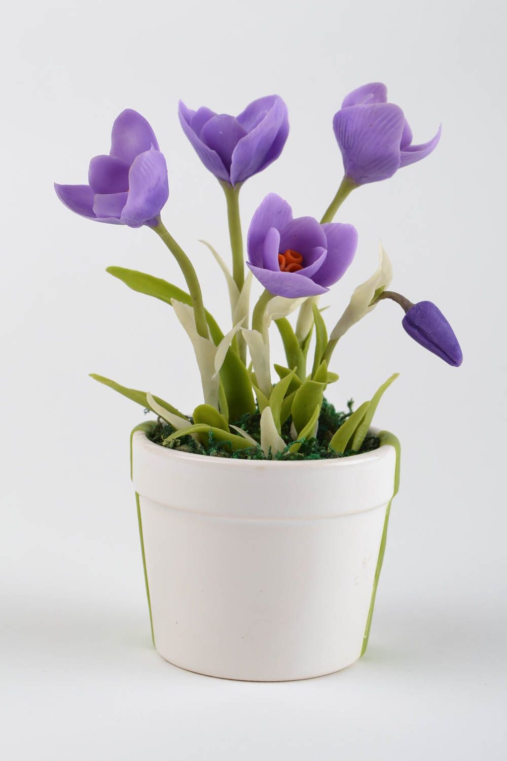 Composition florale fait main Fleurs en pot crocus violet Décoration maison photo 4