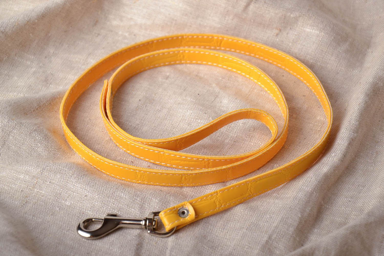 Yellow dog leash photo 1