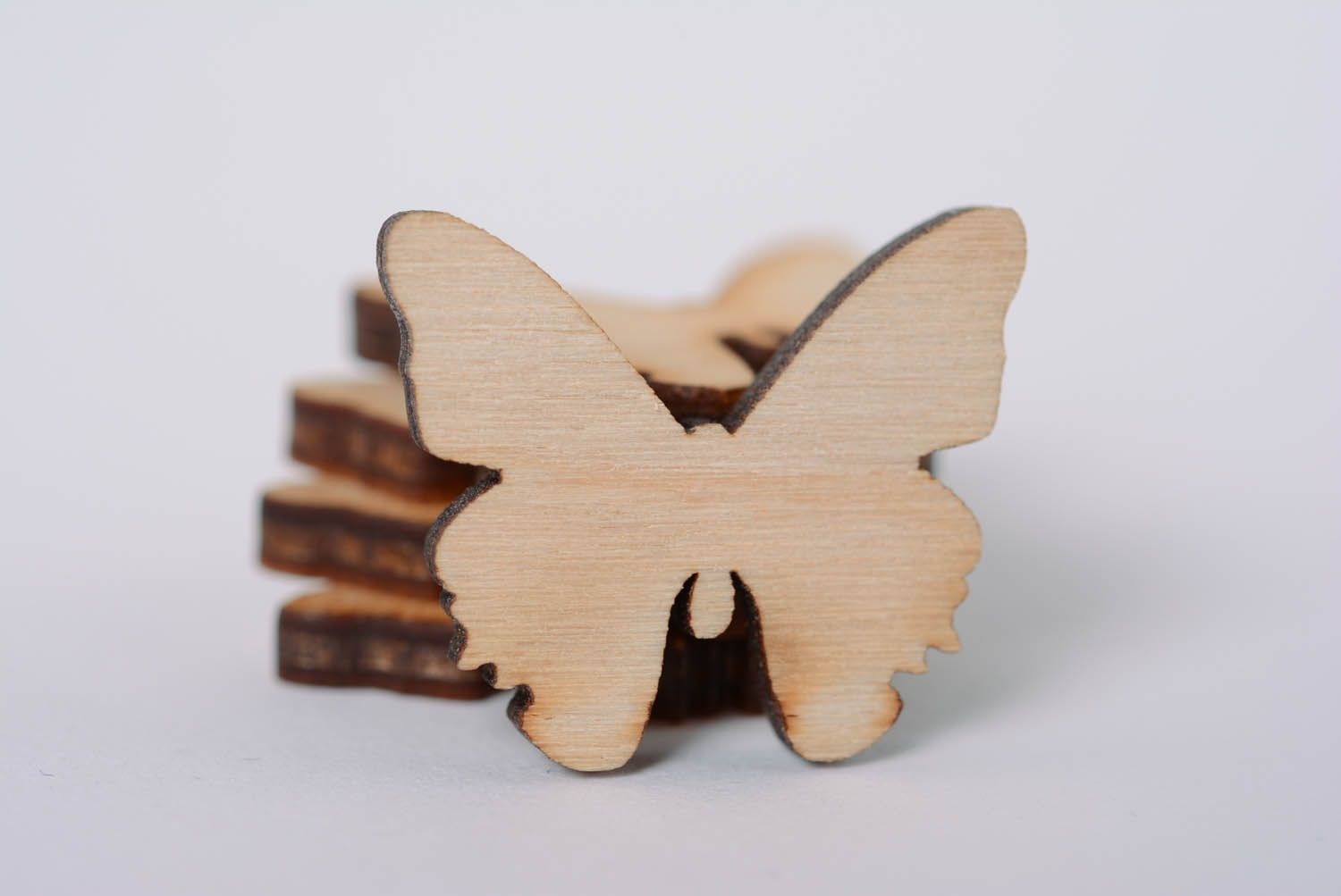 Wooden craft blank for painting The Moth photo 8