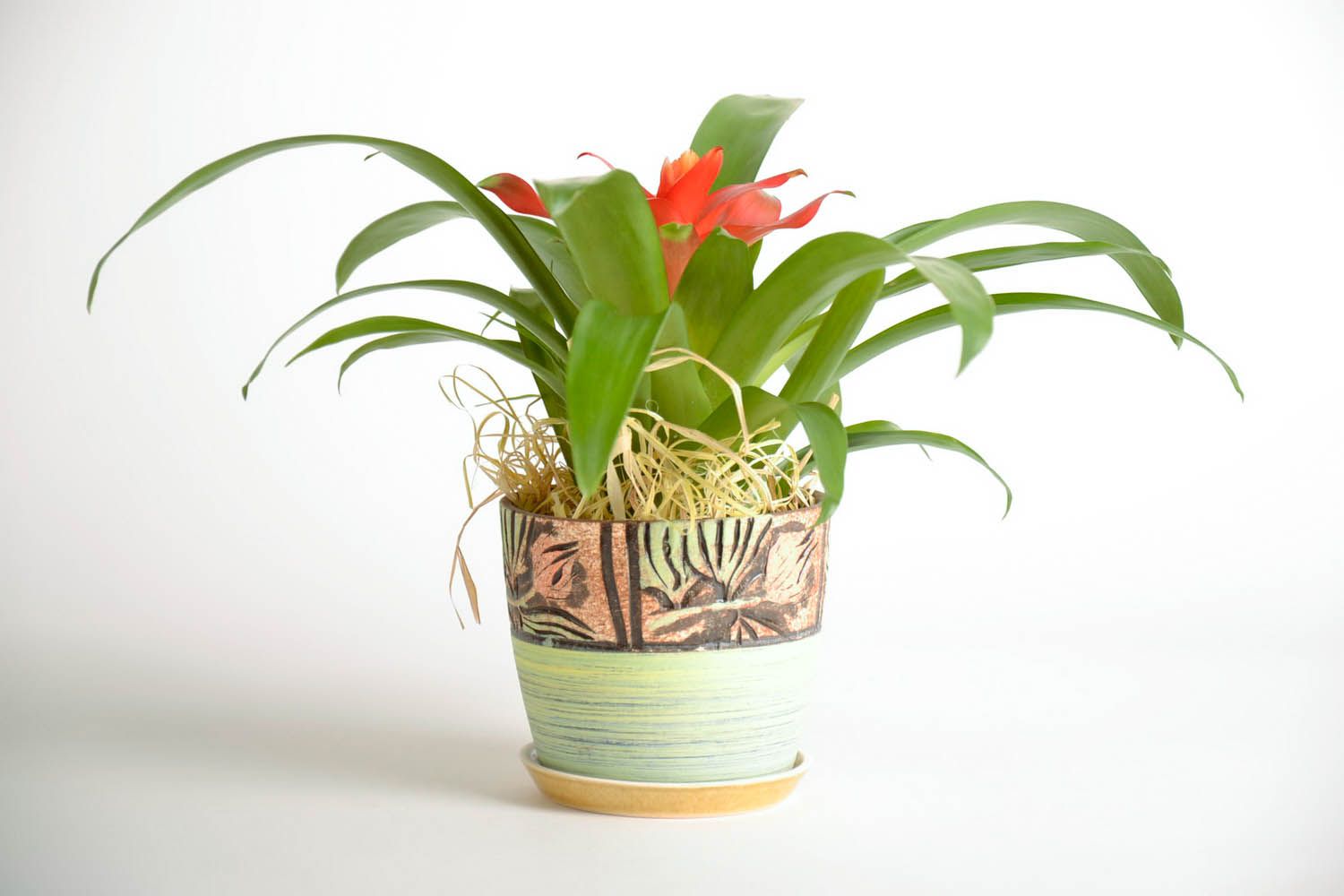 Pot de fleurs en céramique avec soucoupe photo 1