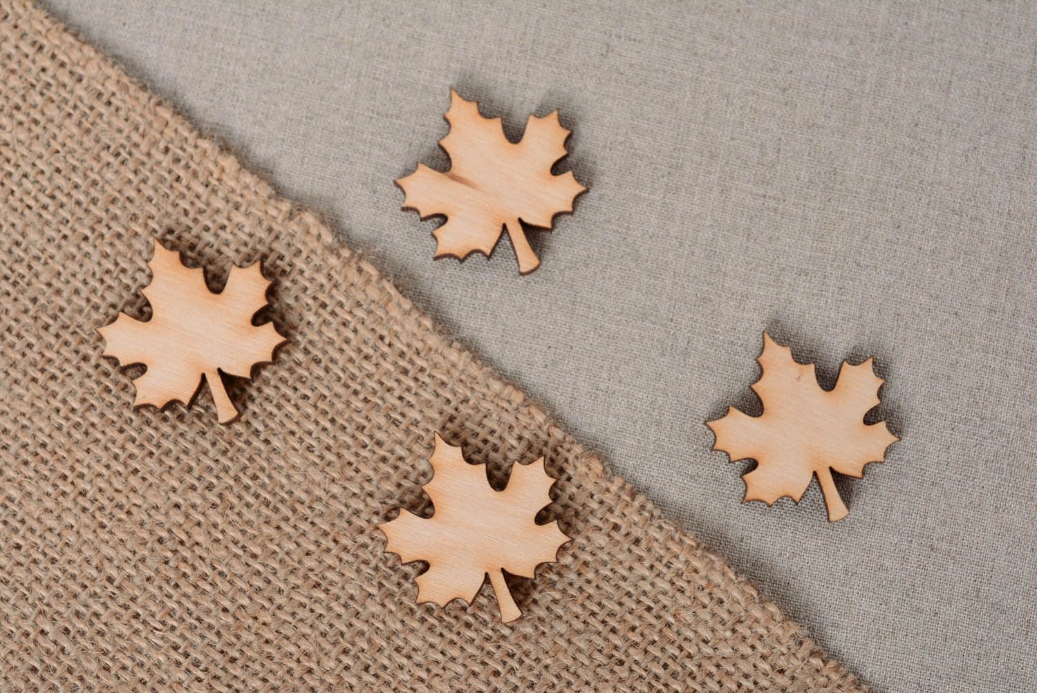 Craft blanks in the shape of maple-leaves photo 4