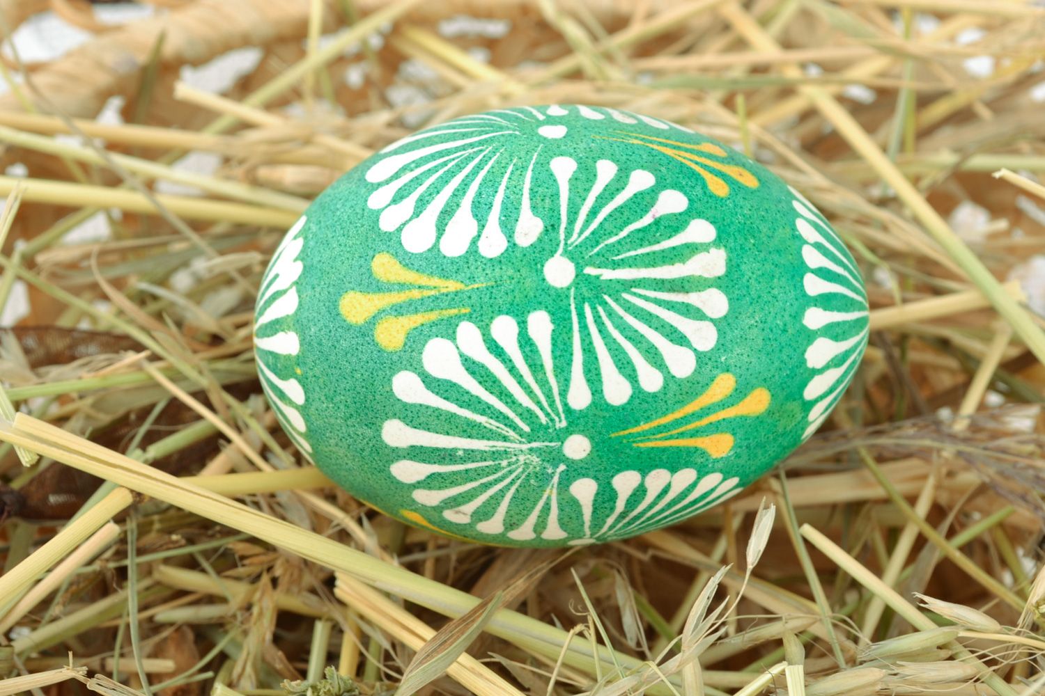 Oeuf de Pâques peint vert fait main à base d'oeuf de poule décoration originale photo 1