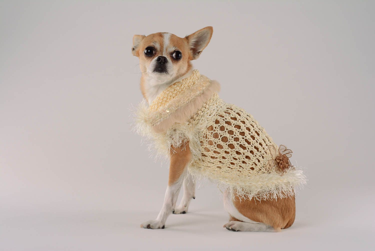 Vestido para cães feito de seda e viscose Colibri foto 1