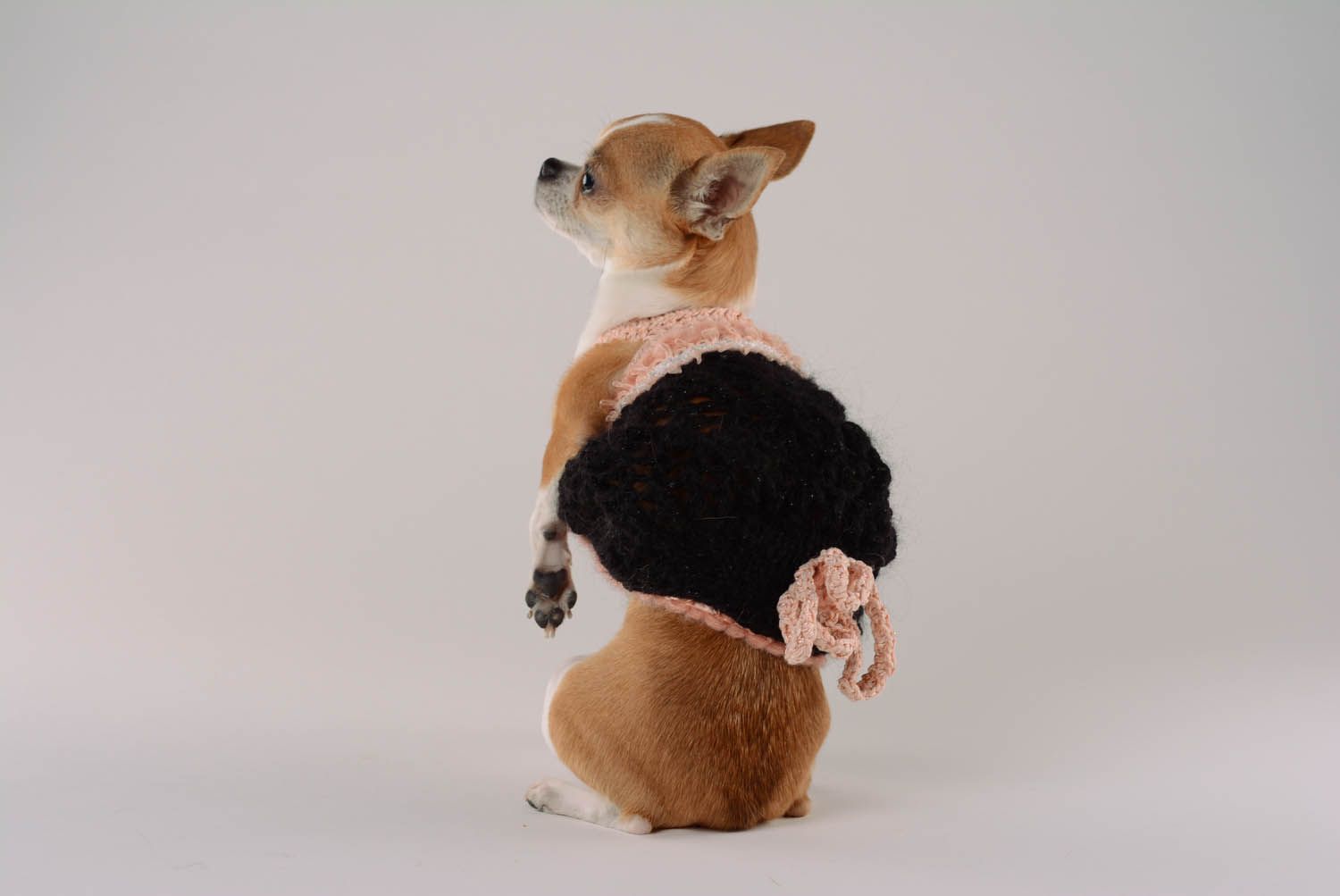 Suéter para cão feita à mão de tecido Encanto do vintage foto 5