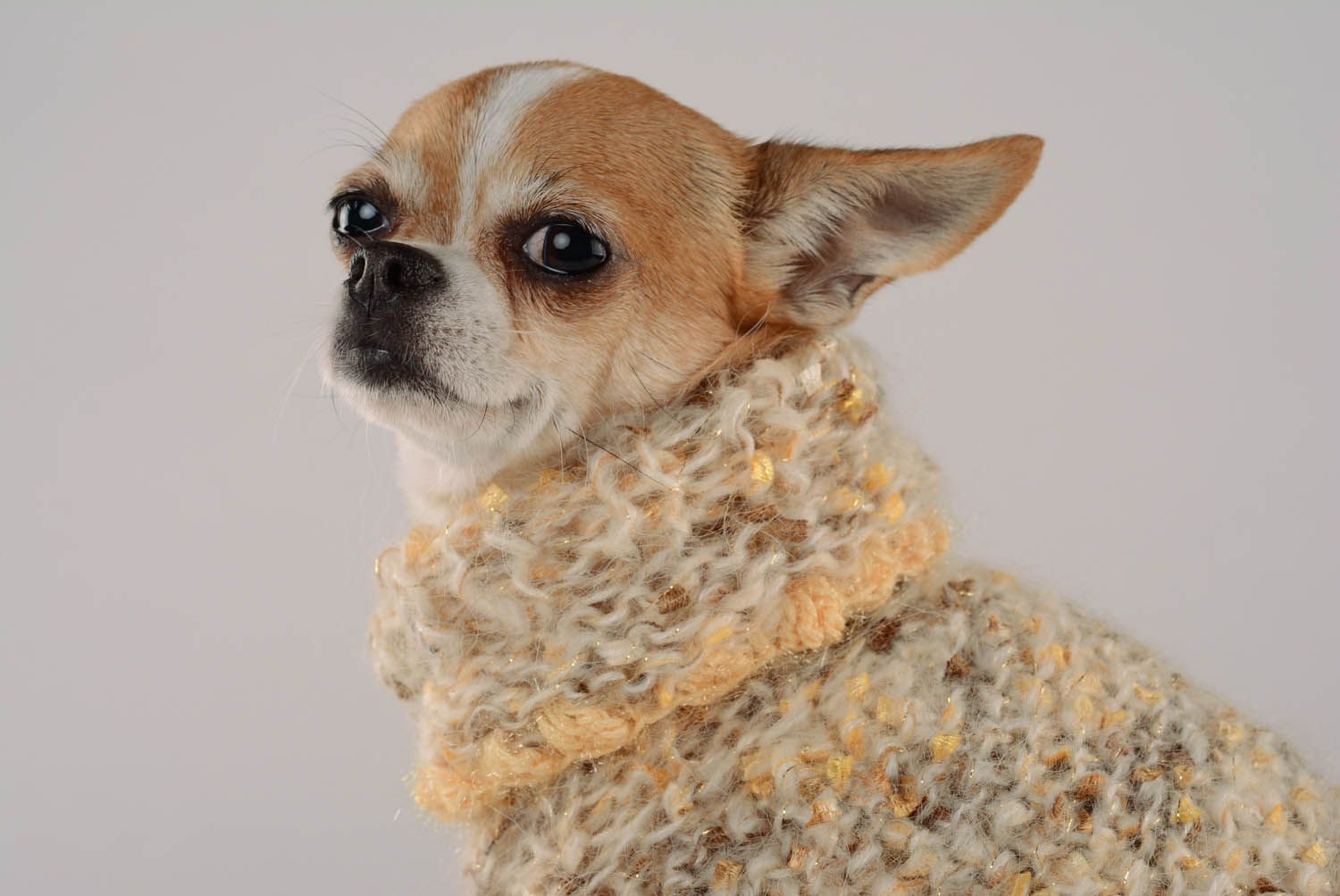 Camisola para cão tricotada a mão de мохера Banana Republic foto 2