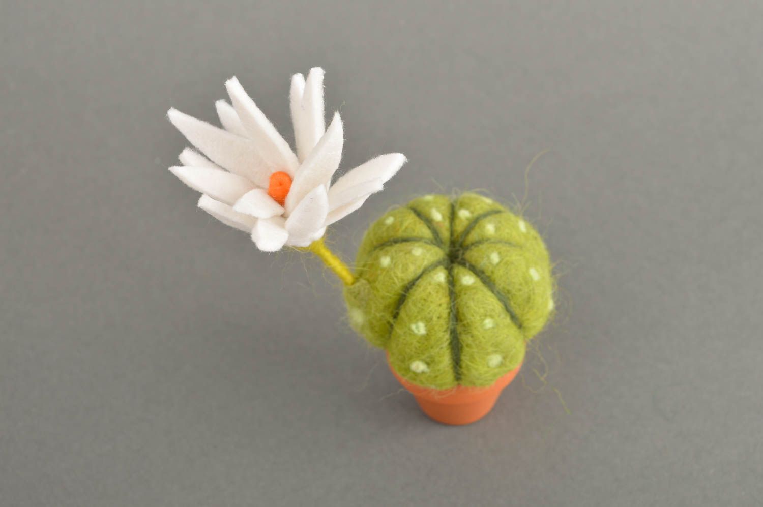 Cactus artificiel fait main Fleur déco laine feutrée pot céramique Déco maison photo 3