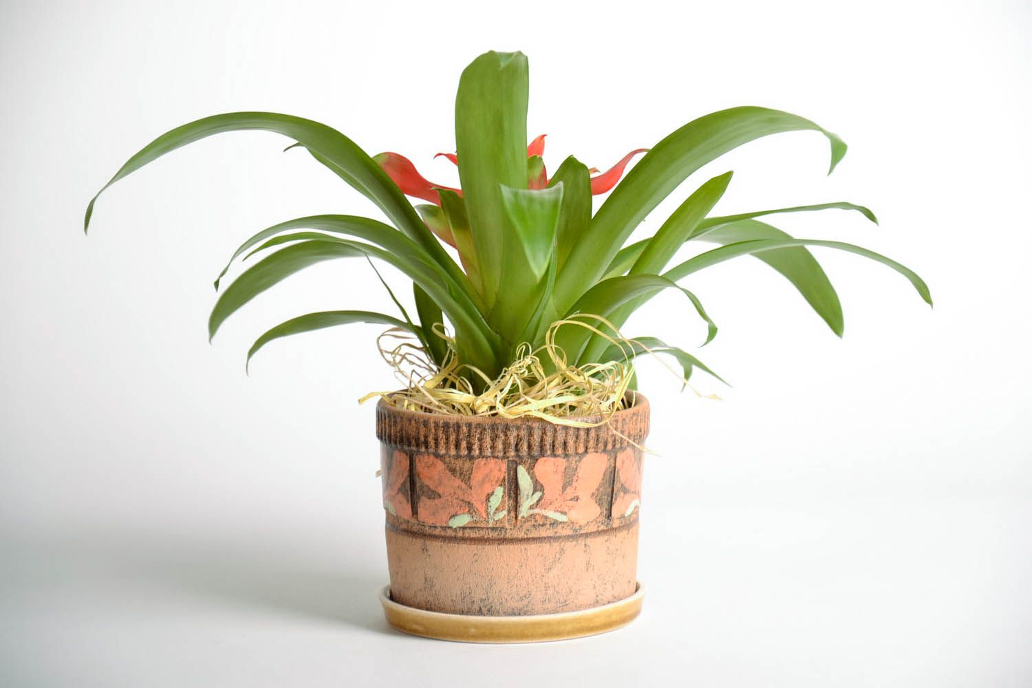 Ceramic flowerpot Stroke photo 1
