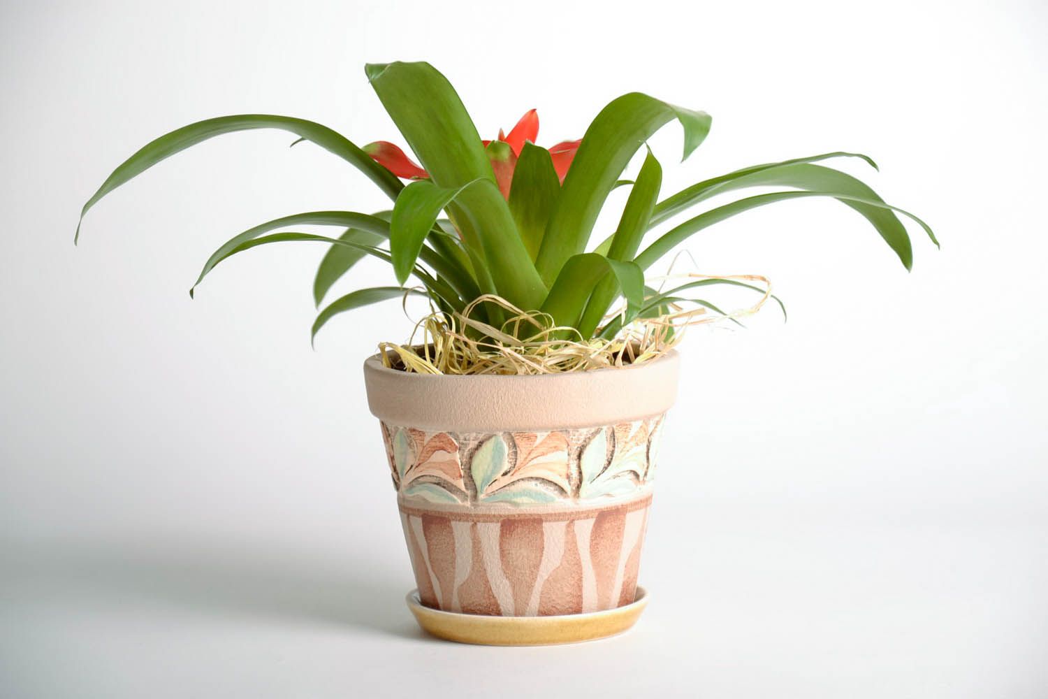 Ceramic flowerpot  photo 2