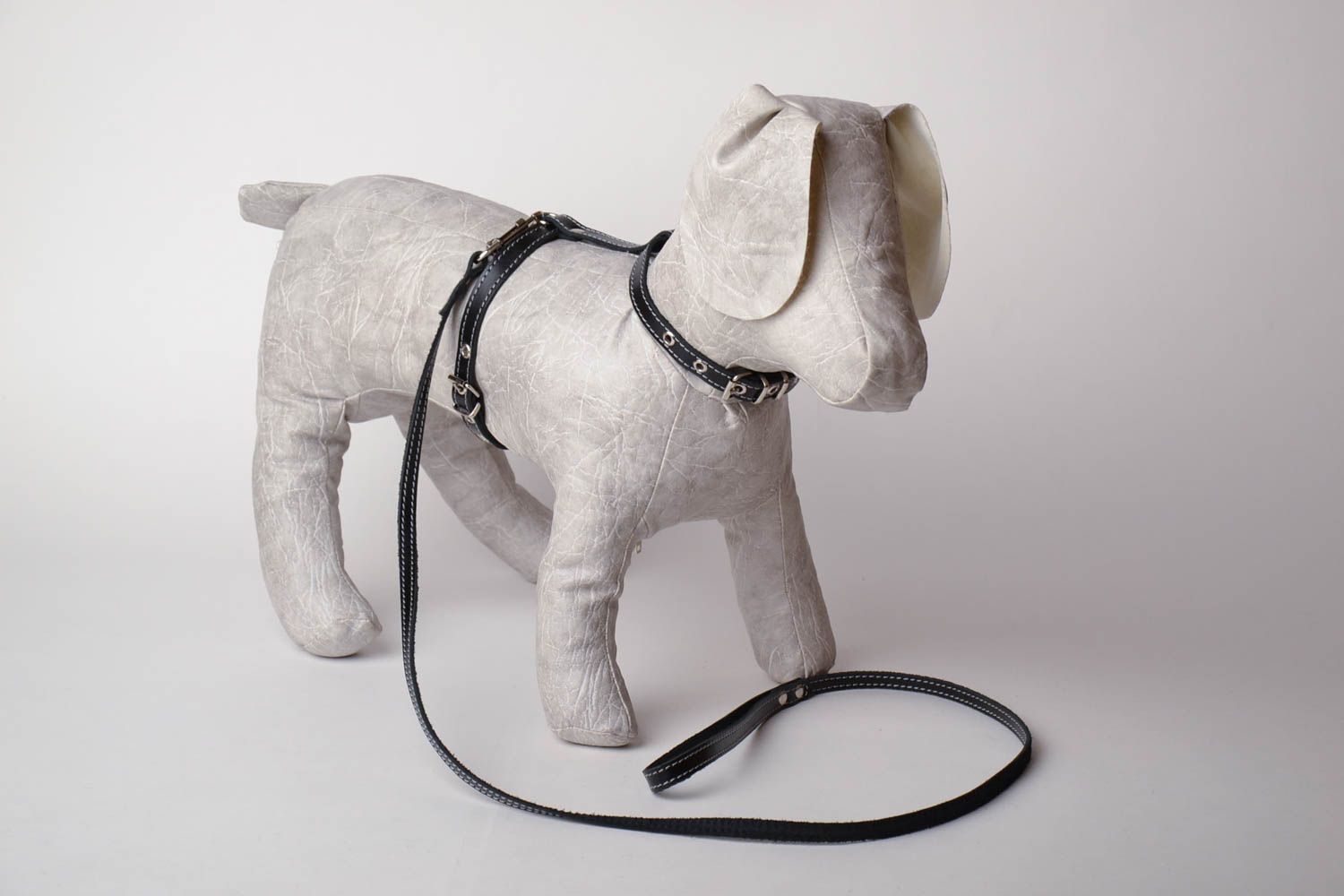 Dog harness with leash photo 1